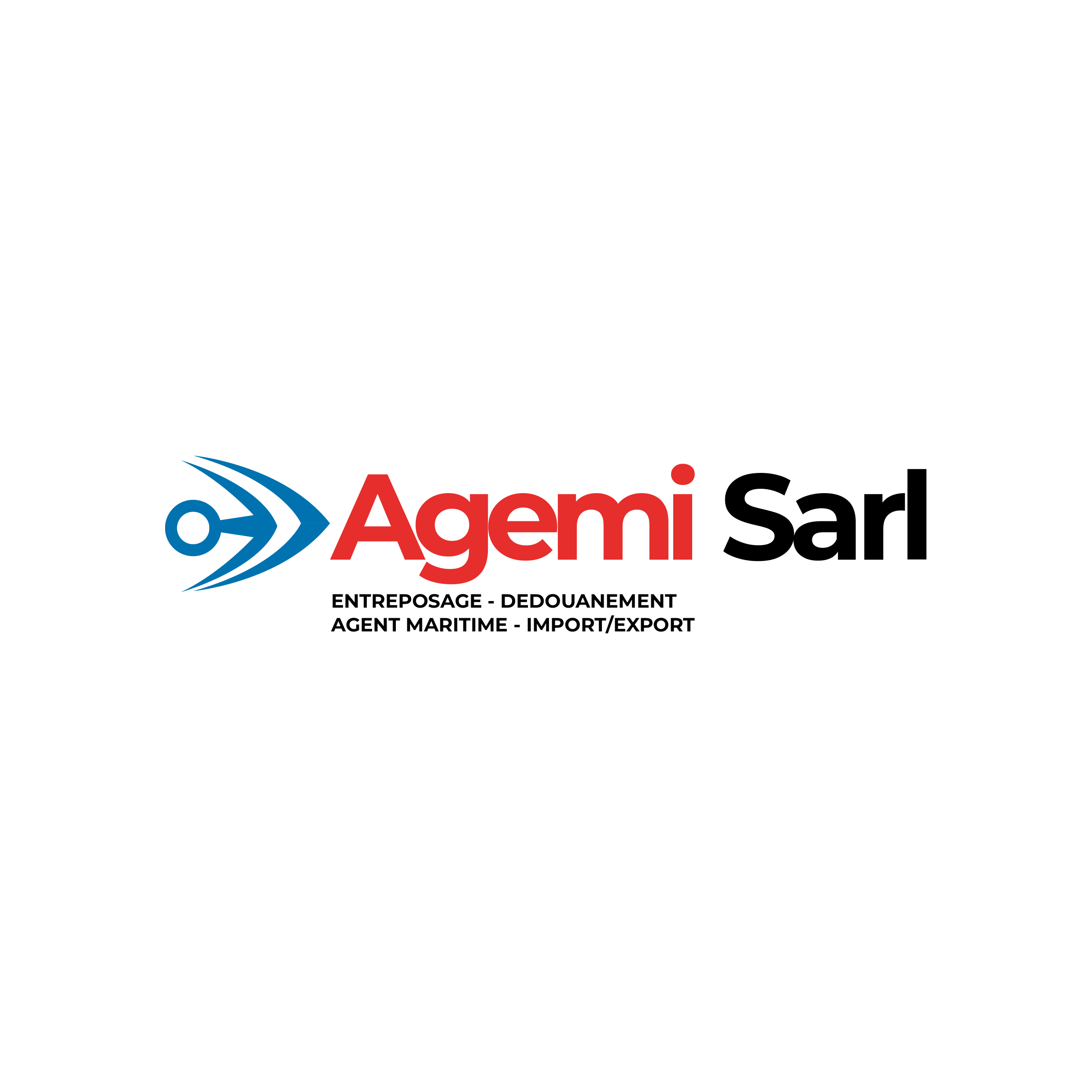 PRESENTATION LOGO AGEMI[105]